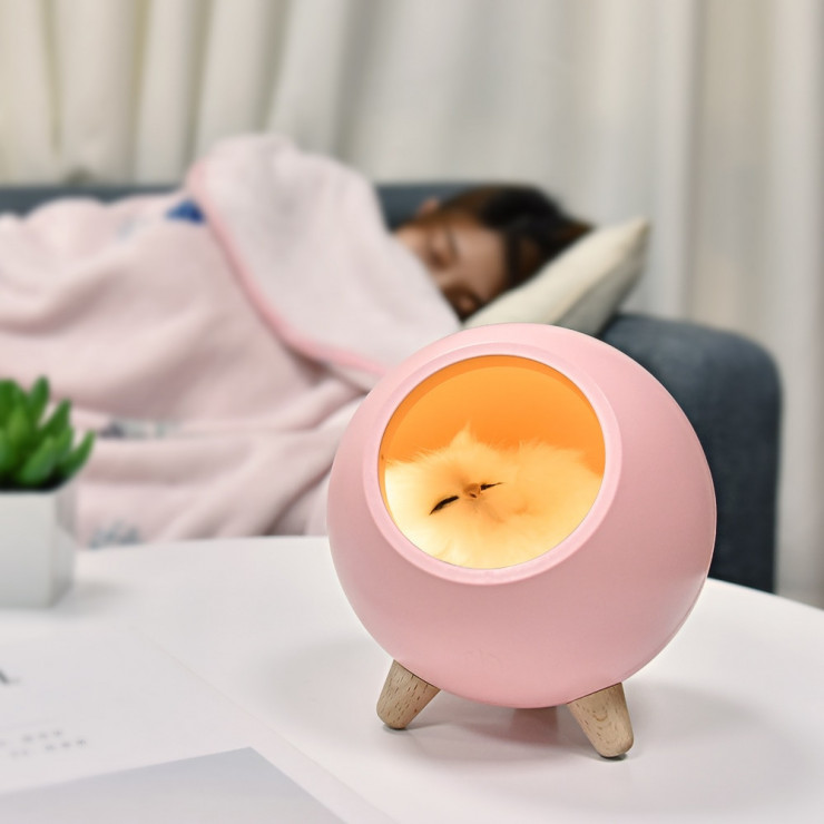 Lampe LED Chat mignon USB à intensité tactile